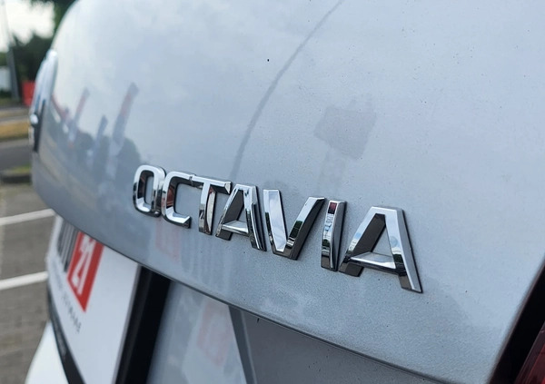 Skoda Octavia cena 61900 przebieg: 118296, rok produkcji 2017 z Syców małe 379